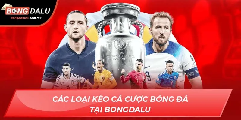 Các loại kèo cá cược bóng đá tại Bongdalu