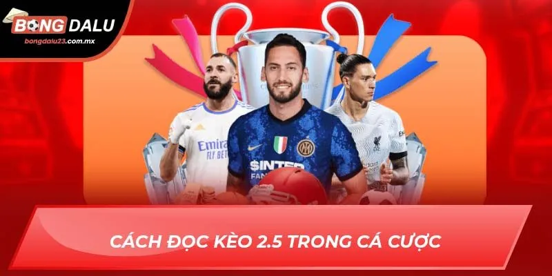 Cách đọc kèo 2.5 trong cá cược